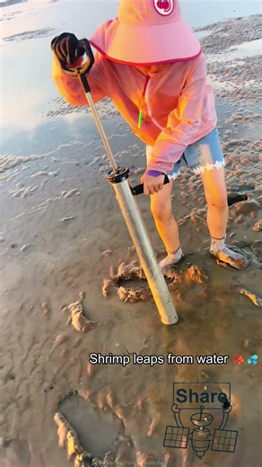 Shrimp Net Fishing Mastery