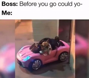 me 1 second after 5pm 🕔😂🚗🐶 | boohoo.com