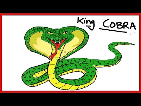 Easy Kids Drawing Lessons : How to Draw a KING COBRA