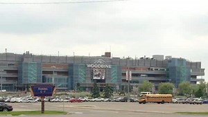 Rolling the dice again at Woodbine