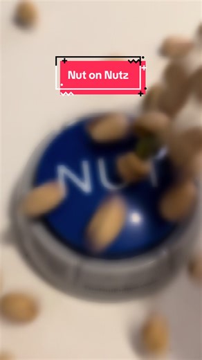 You’re a nut #funnygifts #nutbutton #thenutbutton #giftideas #tiktokshopfinds
