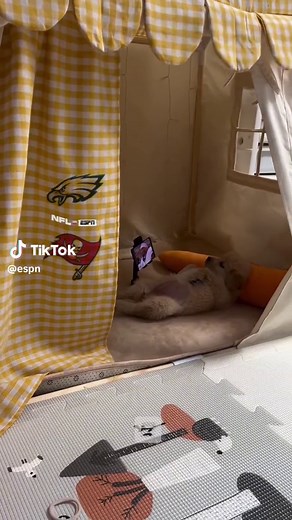 A Wild Card Finale in Primetime 🤩 #PHIvsTB | 8:15 ET | ESPN, ABC, ESPN #eagles #bucs #nfl #wildcard