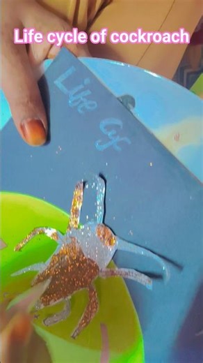 life cycle of cockroach