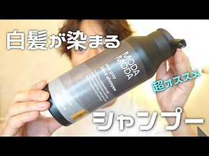 白髪が染まる世界初のシャンプー！モダモダシャンプー！頭皮ケアも出来ちゃう！！