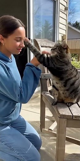 Girl Tries to Pet Cat—Gets Epic Slap to the Face! 😂🐱