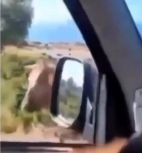 Intelligent Ghwa 🤣🤣 | What is Going on in Peshawar 3