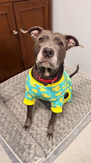 149 reactions · 3 comments | Did someone say photoshoot?!? Every...