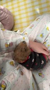 Who's Good at Doing Handstands Every Day? Hahaha, I'm Dying of Laughter! 🤣 The Confusing