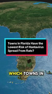 Florida towns with lowest hantavirus risk from rats