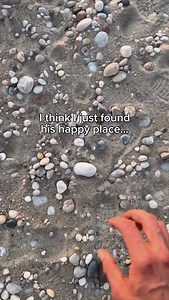 I guess we have to move here | AJR