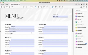 Weekly Menu for Meal Planning: Download   Print or Fill Out Online - Simple Clean Design - Etsy UK