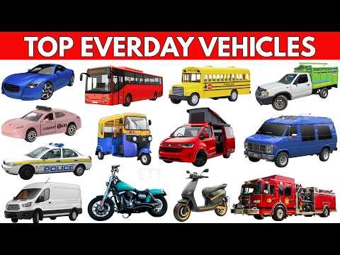 Top Everyday Vehicles for Kids 🚗🚌 Learn Cars, Buses, Bikes & Emergency Vehicles | Educational Video