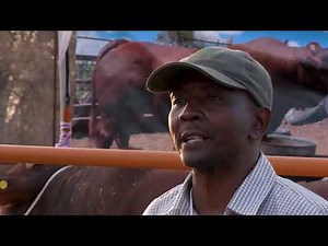 The Agric Show (BONYA MABOGO-SANTA GERTRUDIS)