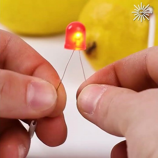 How to Make a Lemon Powered Light Bulb