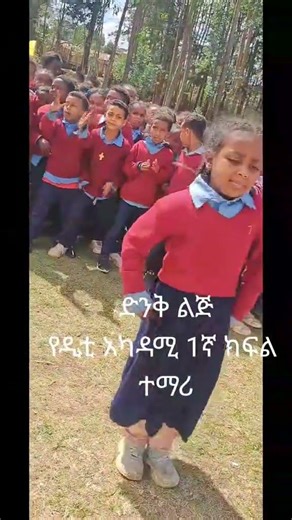 New Ethiopian music 82707