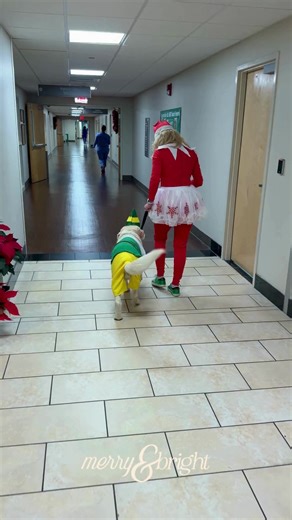 Forrest General Hospital on Instagram: "Some days, what we need most is a soft nudge, a wagging tail, or a kind presence. Major Payne and Keri Ray Galey brought that and more, filling Forrest Health with moments that were truly Merry & Bright. ✨🐶 @wakesurfgirl9"