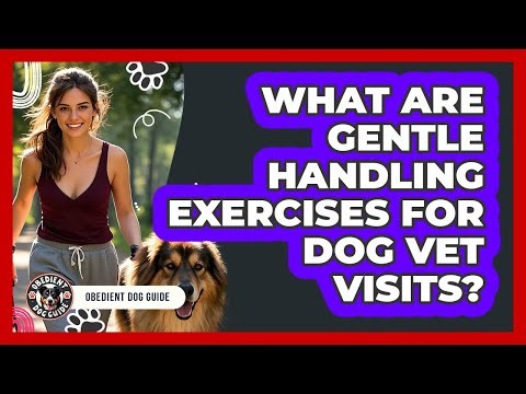 What Are Gentle Handling Exercises For Dog Vet Visits?