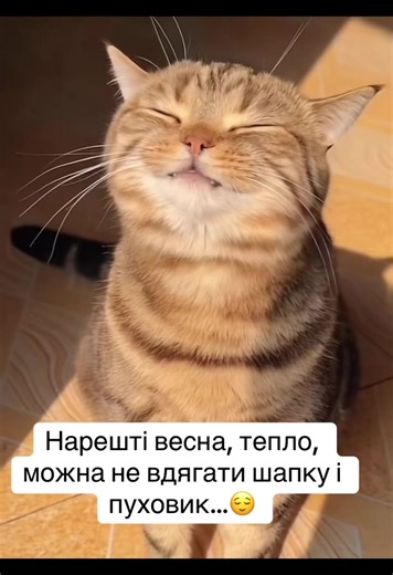 Відео користувача T𝒶𝓃𝓎𝓊𝓈𝒽𝓀𝒶💐 (@tatyanai5) з композицією «WTF (feat. Amber Van Day) - HUGEL»