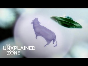 ALIEN ACTIVITY Spotted Over Cattle Mutilation Site (Season 1) | UFO Files | The UnXplained Zone