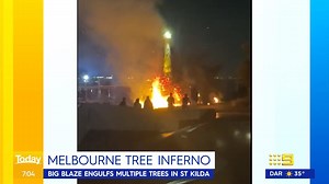 Detectives have been called in to investigate fire that has burned down iconic St Kilda palm trees. #9News | 9 News Melbourne