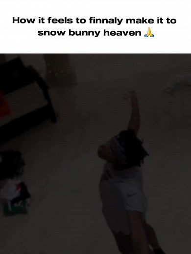 Snow Bunny Heaven Meme Explained