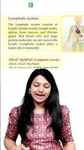 Lymphatic System പഠിക്കാം !! | Xylem Class 9