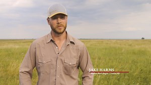 41K views · 216 reactions | Get Bieber Fever at the 50th Annual Bieber Red Angus Performance Yearling Bull Sale! Join us Thursday, March 6th at 1 PM CT at the ranch near Leola, SD, or online via DV Auction. Don't miss your chance to bid on 275 Yearling Red Angus Bulls from industry-leading sires! Date: March 6th, 1 PM CT Location: Bieber Red Angus Ranch, Leola, SD & Online at DVAuction.com Visit www.bieberredangus.com for details! | Bieber Red Angus Ranch | Facebook