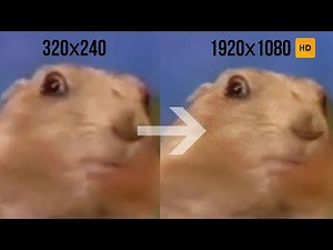 Dramatic look. Famous Marmot HD /2007 → 2019/ AI upscaled meme Dramatic look to HD