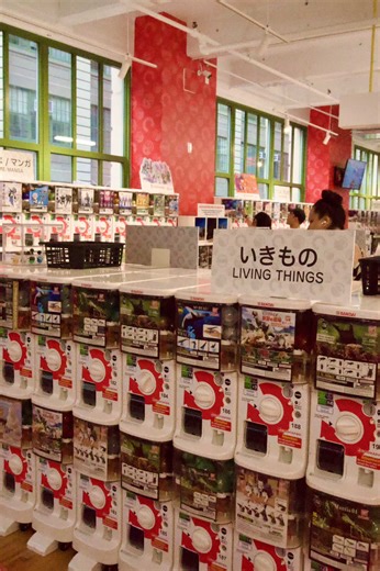 Have you seen our 2nd Floor at Japan Village? 🎌 The fun continues upstairs 👆 Cute gatcha prizes, a peaceful shrine area, tea ceremonies at the Chashitsu, games & more! Come explore the 2nd Floor at Japan Village—we’re waiting for you 💕 #JapanVillage #ExploreJapan #GatchaFun #TeaCulture #VisitUs