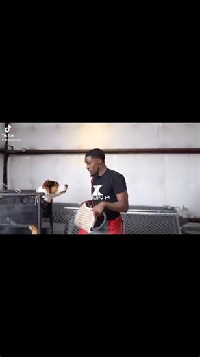 Stan Smith - Iron Sharp K9 | Dog Training DFW on Instagram: "Throwback Rocko"