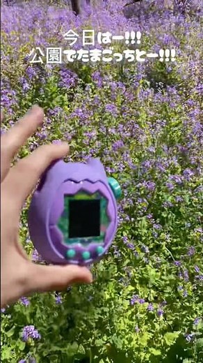 Tamagotchi and cherry blossom viewing 🌸 Tamagotchi Paradise outside [Tamagotchi Paradise & Uni] W...