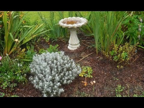Cleaning A Cement Bird Bath