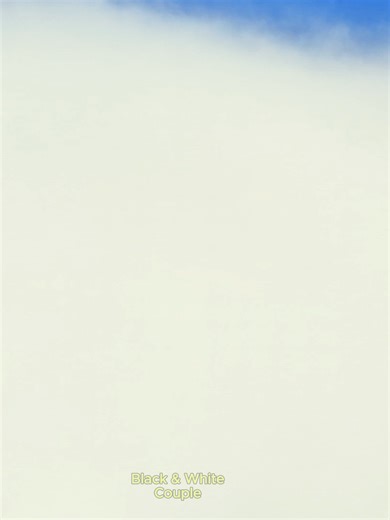 Cinematic Drone Shots in Foggy Environments