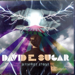 David E. Sugar - Memory Store