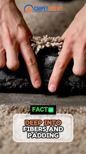 Why Drying Alone Isn’t Enough After Carpet Water Damage?
