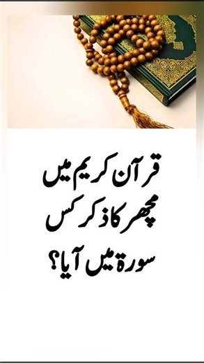 Islamic Question and Answer in Urdu | Basic Islamic Quiz #islamicquotes #islamiquiz #shaikh