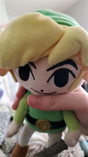 what is this happening to toon link!