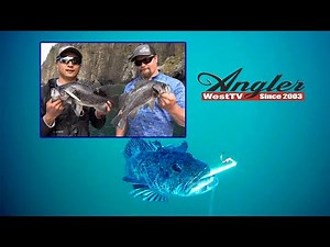 Shallow, Midwater & Deep Water Rockfish & Lingcod
