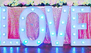 Dollar Tree DIY Marquee Letters