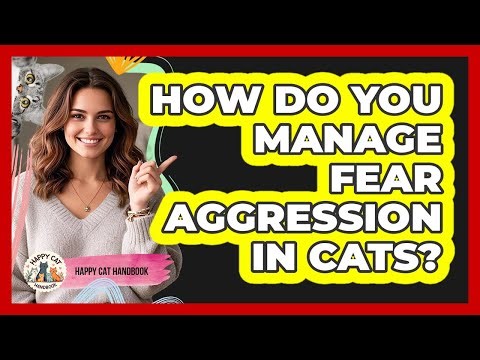 How Do You Manage Fear Aggression In Cats? - Happy Cat Handbook