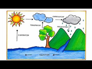 Water Cycle Drawing | Easy Water Cycle Diagram Drawing for School Project | Drawing Step by Step
