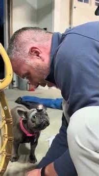 You Won’t Believe What This Dog Did! 🐶