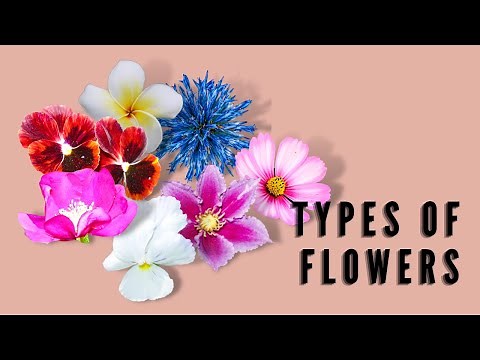 TYPES OF FLOWERS: COMPLETE & INCOMPLETE/PERFECT & IMPERFECT/MONOECIOUS & DIOECIOUS