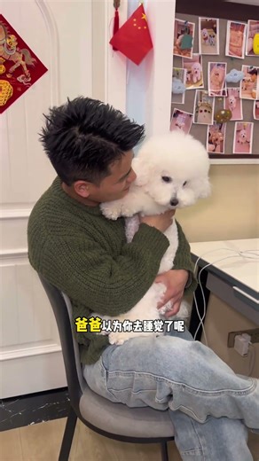 小狗的爱情总是那么简单