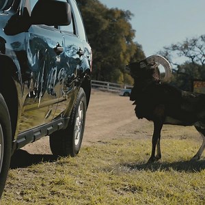 Farmers Insurance on Reels