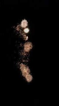 Salute to USA 100 shot firework