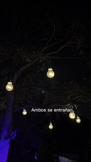 Captivating Night Sky Travel Through a Dim Room