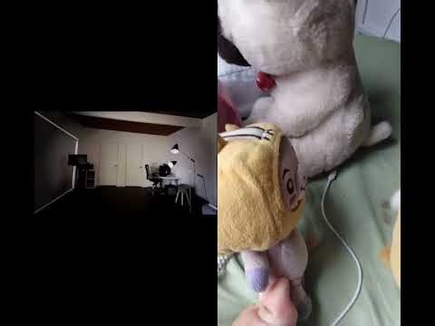 lol foxy gets punched for 200 subscribers