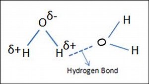Intermolecular Forces