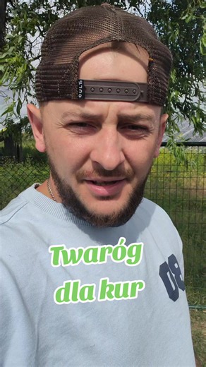 Twaróg dla kur — jak podawać ser twarogowy w kurniku